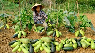 Full video: 60 days of harvesting and selling agricultural products at the farm - Buildiing Life