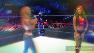 Shane Mcmahon and Nikki Bella /i found/