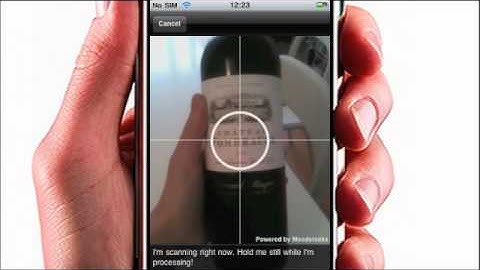 Real-time object recognition