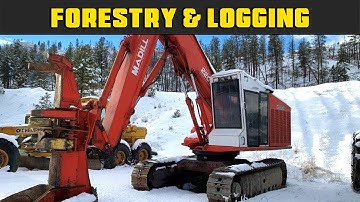 Madill Feller Buncher Winter Cut - Real Life Forestry & Logging - FDR Logging