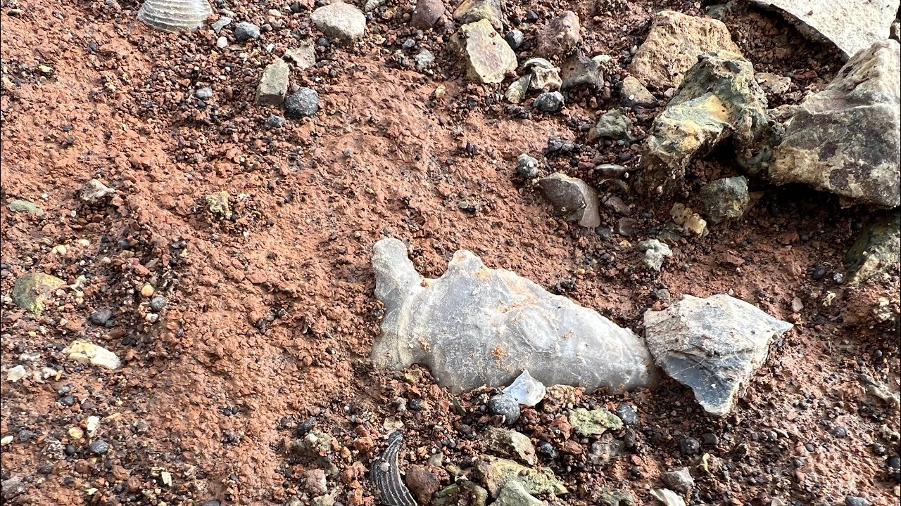 Найден Кловис возрастом более 12 000 лет!!! и многое другое... Охота на наконечники стрел в Теннесси