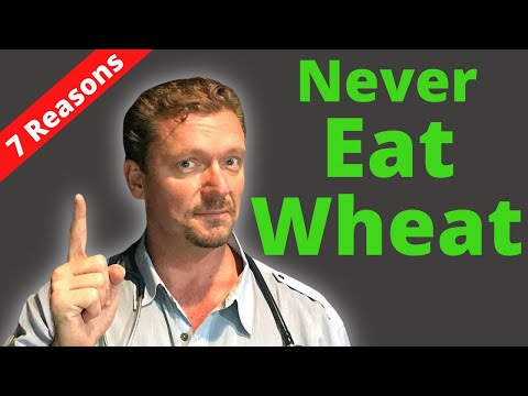 7 Reasons to NEVER Eat Wheat Again (it&rsquo;s not just gluten)