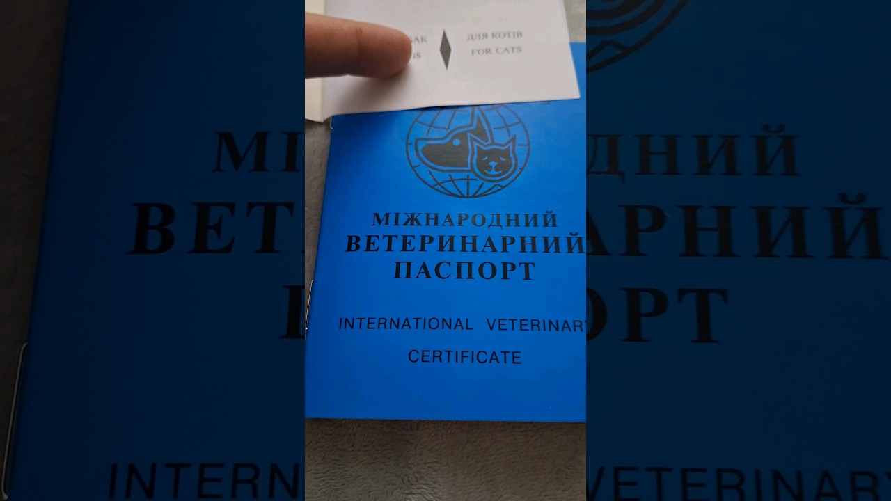 Документы на птичек 🦅🦅🦅 