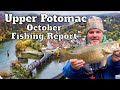 Upper Potomac River October Fishing Report with Shallow Water Fishing Adventures Guide Service
