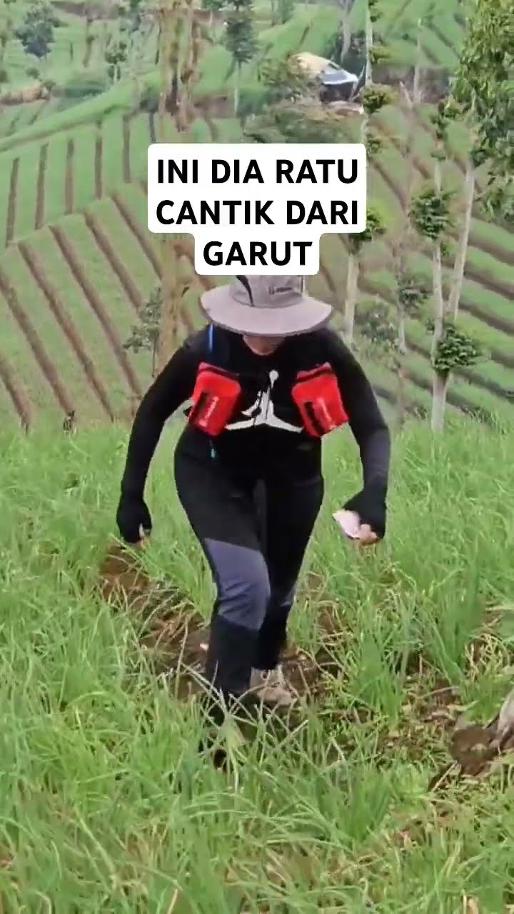 Pendaki Sejati Jalan Ke Pegunungan