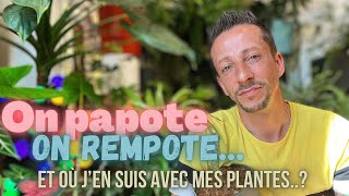 #31-Blabla-Rempotage 🪴[ Oú en est ma collections ? ] ​⁠@weareelho #plantaddict