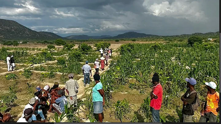 Addressing Food Insecurity in Haiti with Community Gardens