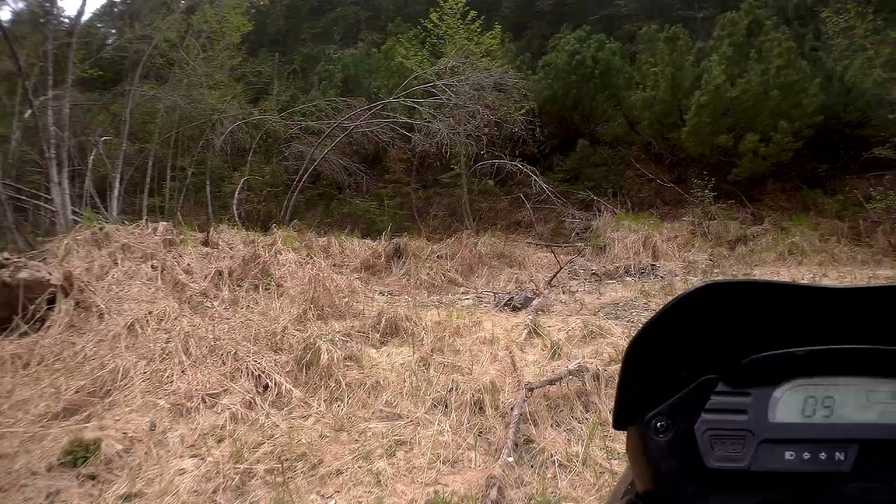 2021 0606 144400 011