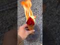 Survival Skills: Make a handy fatwood torch #survival #bushcraft #camping #outdoors #lifehacks