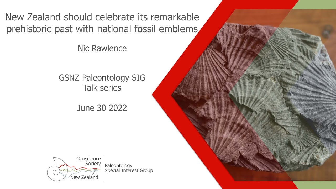 New Zealand should celebrate its remarkable prehistoric past with national fossil emblems