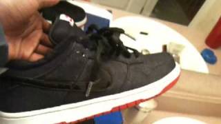 nike sb chirping bird