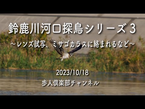 【みどりかわさまご確認用】 Amazon.co.jp: デコレコーポレーション ミニ蚊取り線香