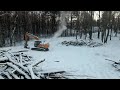 Clearing Trees with an Excavator // Hamburg Day 4