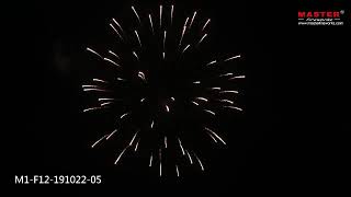 4 Silver Crown 1.3G Display Artillery Shells Firework