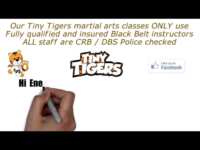 Kids Tiny Tigers martial arts classes Blyth