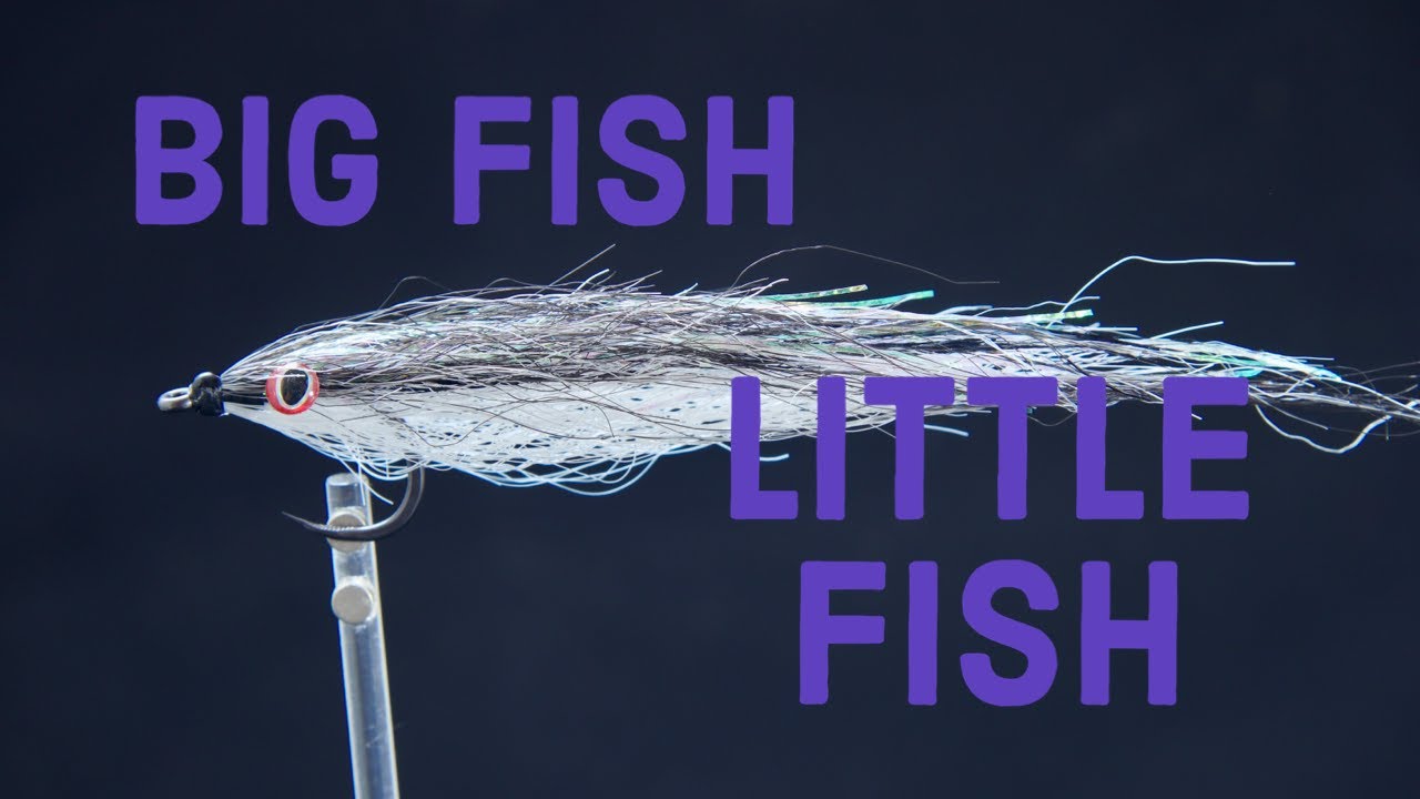 Fordy's Flies - Big Fish Little Fish