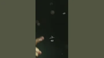 نصيحة السيد حسن نصر الله للشباب والجيل الجديد القادم انا على العهد 