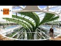 Top 5 Amazing Green Technology Inventions