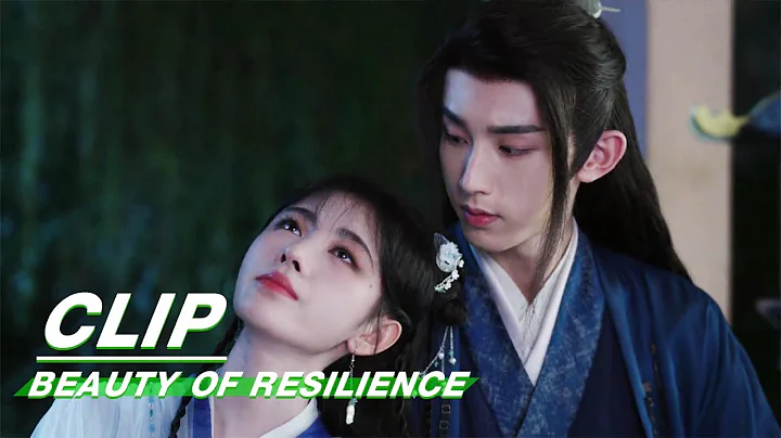 Wei Zhi Gets Drunk and Talks to Yan Yue | Beauty of Resilience EP05 | 花戎 | iQIYI