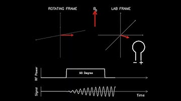 MRI: Physics and Image Creation - 90 Degree Spin Flip (Part 3/18)
