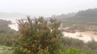 View of Lake Casitas from Marina Cafe on March 14, 2023