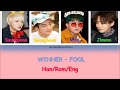 FOOL - WINNER (Han/Rom/Eng) color coded lyric video