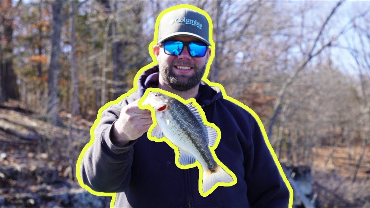 FISH ON! Fishing Table Rock Lake + Live Scope ACTION! YouTube