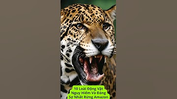 10 Loài Động Vật Nguy Hiểm Và Đáng Sợ Nhất Rừng Amazon.