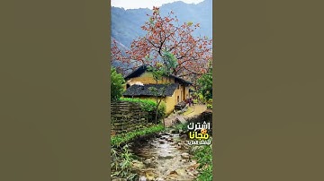 سورة الرزق - سورة الواقعة