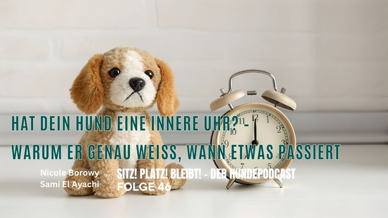 #46 Zufall, Gefühl oder Konditionierung? – Hat dein Hund eine innere Uhr?
