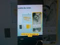 Paleta de cores para seu projeto #webdesigner #ui
