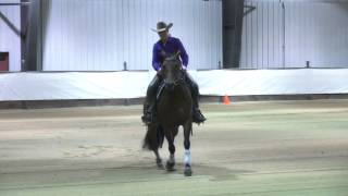 13CSU   01A 19 113 Shiners Mika Dust   Amanda Antifaev