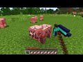 あなたのマインクラフトは本物ですか？【マインクラフト😜】
