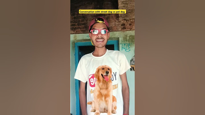 Conversation with street dog vs pet dog 😂🐶 | #shorts #funny #indian #relatable #comedy #streetdog