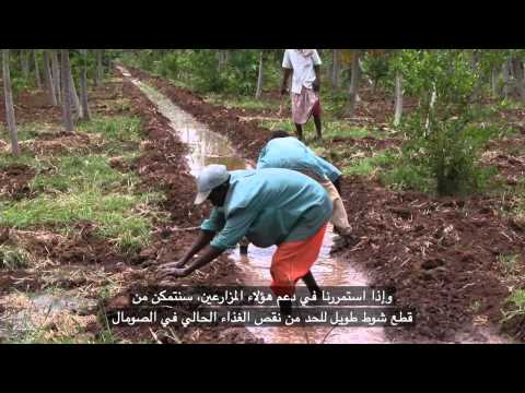 الصومال: الحد من نقص الغذاء - الصومال: الحد من نقص الغذاء