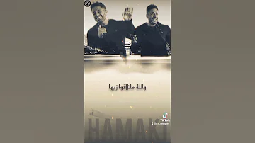 حماقي زيها مين ٢٠٢١ Hamaki Zayaha Mein 2021 حالات واتس 