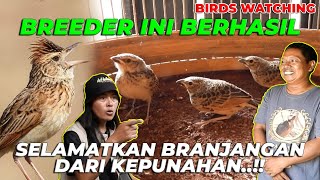 Download Lagu BREEDER BRANJANGAN PERTAMA DI JAWA BARAT..!! BERHASIL MENETASKAN RIBUAN EKOR..! MP3