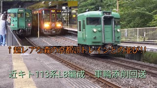 【レア!!嵯峨野線に113系入線!】113系L8編成車輪添削回送　到着、走行シーン