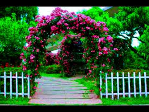 Beautiful Classic Music 