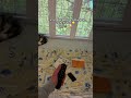 Wer braucht sowas im Schlafzimmer? 🥹👇🏽#cozy #bedroomideas #projector #bedroomgoals