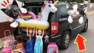 Las princesas Disney Elsa y Anna van de viaje en coche de casa a la playa con los gatitos