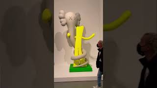 FULL KAWS MUSEUM TOUR. #kaws #art #hypebeast #kawsone #museum #travisscott #kidcudi