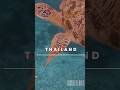 Cinematic Thailand? DJI Osmo Pocket 3 Test 🇹🇭 #shorts