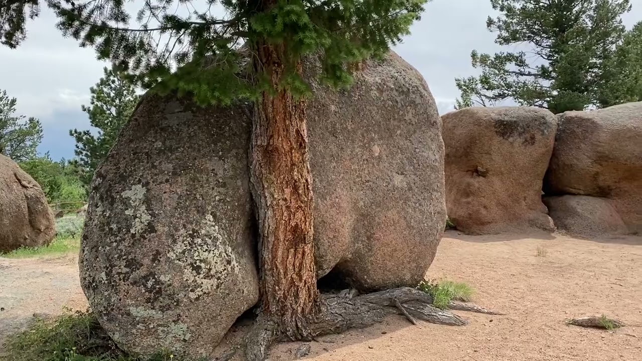 A trip to Medicine Bow National Forest in Wyoming