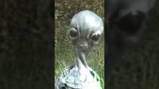 Esse é o filme independente mais alugado da Blockbuster! 👽 #cinefilos #cinema #curiosidades