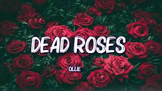 Ollie - Dead Roses (Lyrics video)