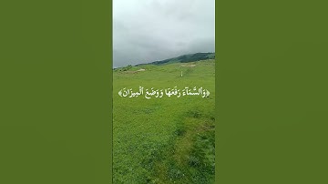 عبد الباسط عبد الصمد سورة الرحمن