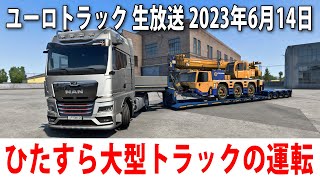 【ユーロトラック】ひたすら大型トラックを運転するライブ配信【アフロマスク 2023年6月14日】 screenshot 3