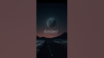 اكتب شيء تؤجر عليه 😴❤️ القارئ ياسر الدوسري