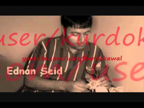 Ednan Seid 3ashiq 